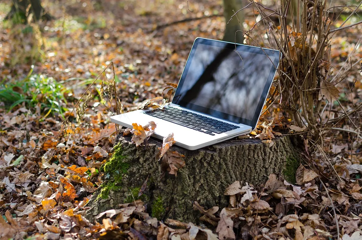 A Seasonal Guide to Autumn Writing Competitions and Submission Deadlines